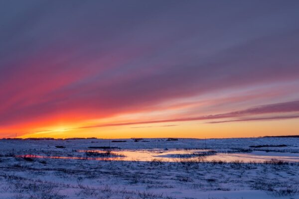 alaska sunset winter snow nature 8448009