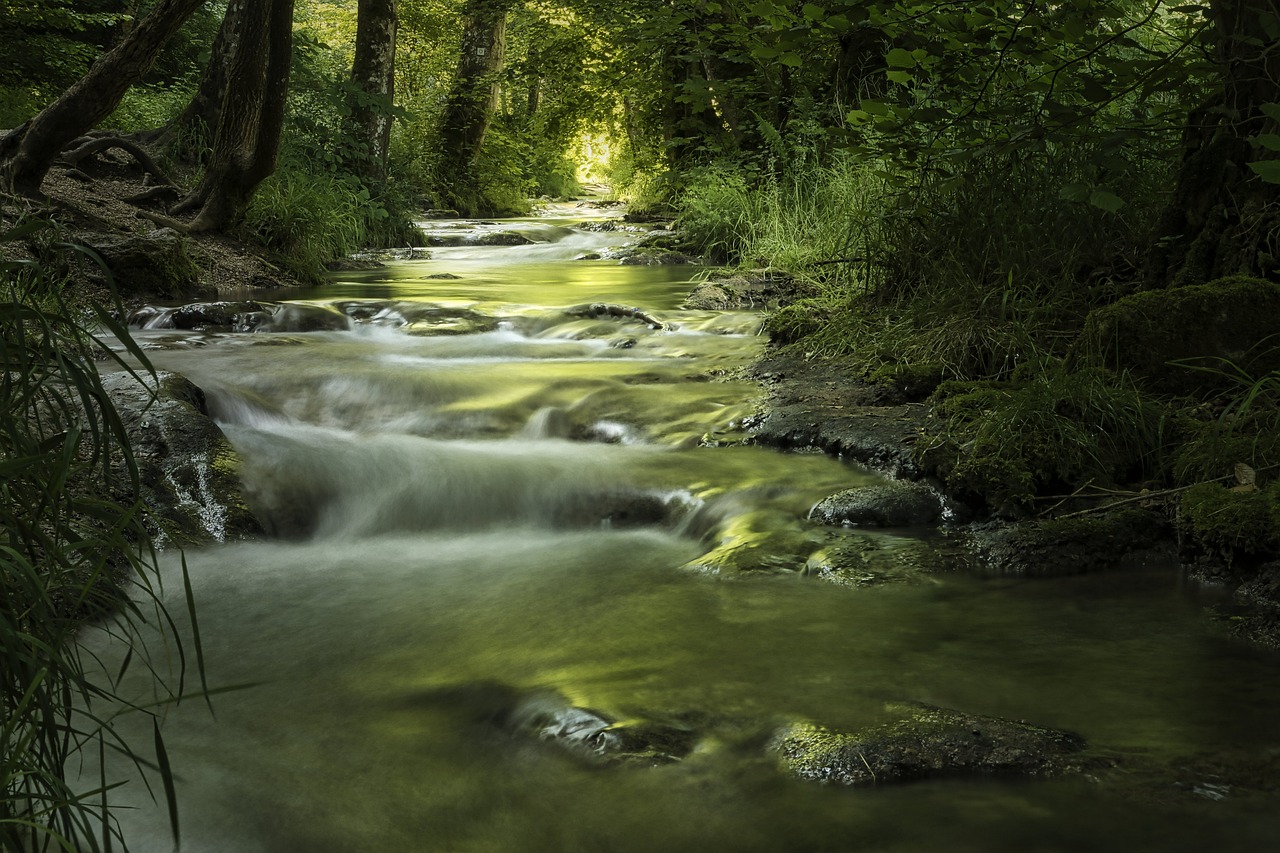 bach moss stream landscape green 7289941