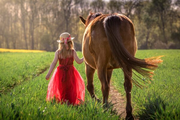 girl horse friendship nature 4157869