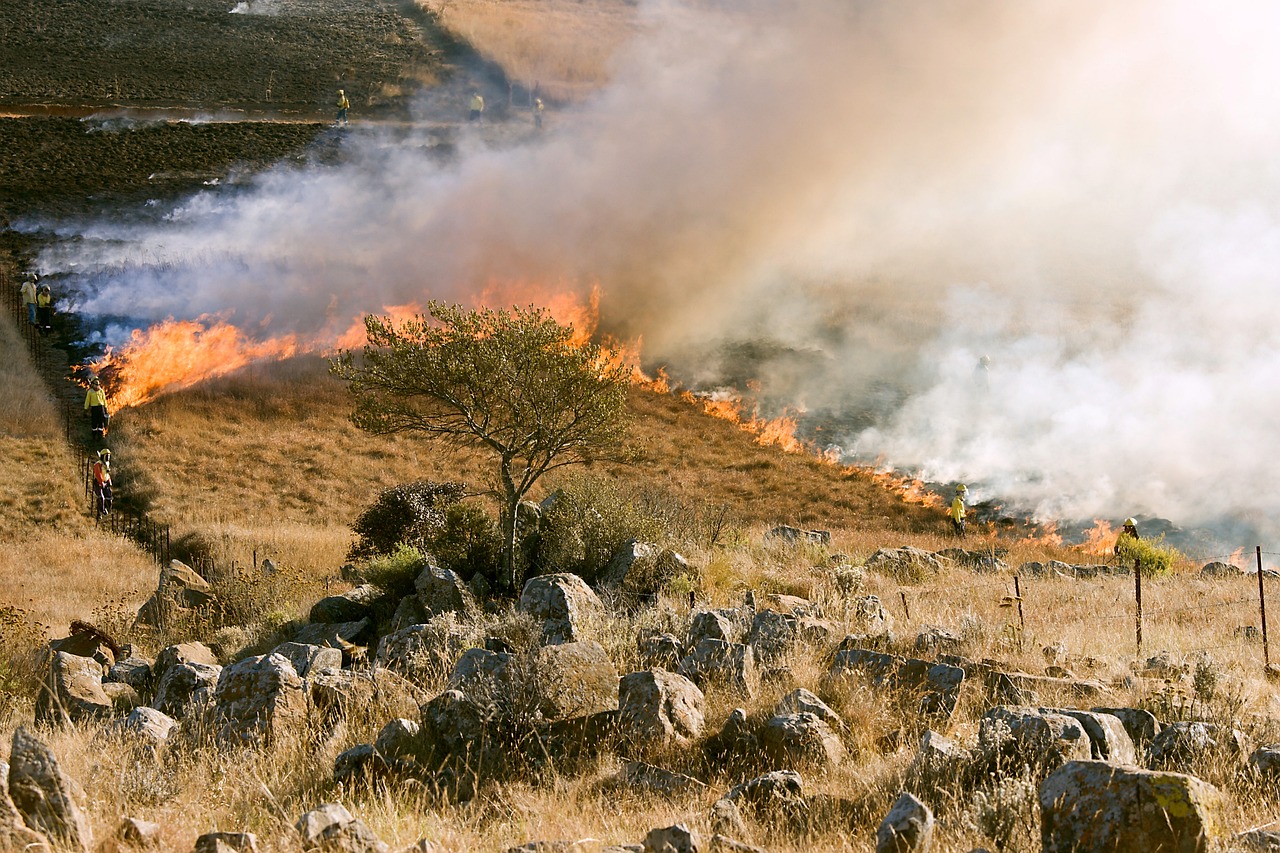 grass fire firefighter smoke 807388