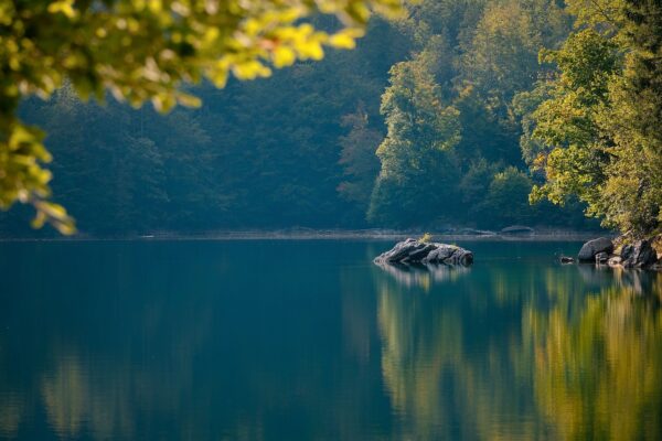 lake rocks forest nature water 6641880