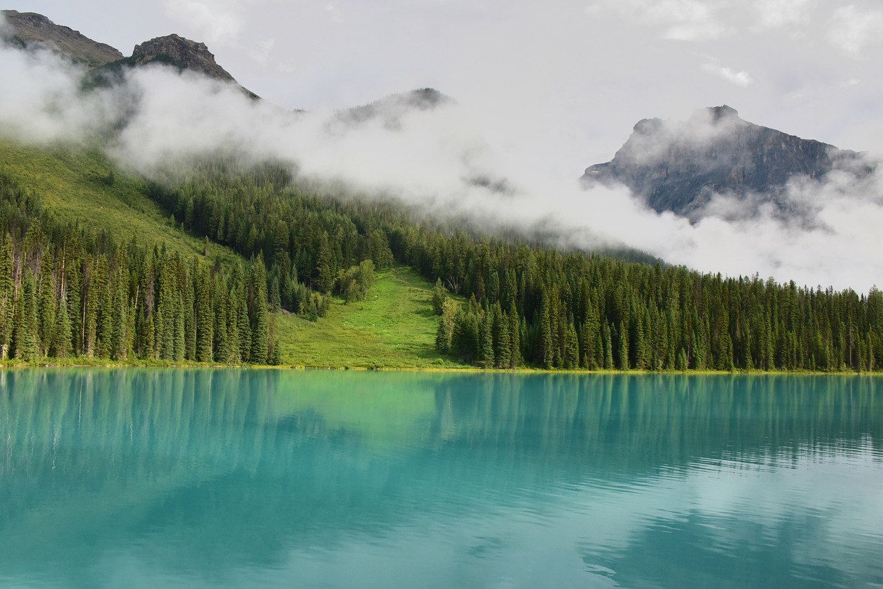 lake water mist forest clouds 1951519