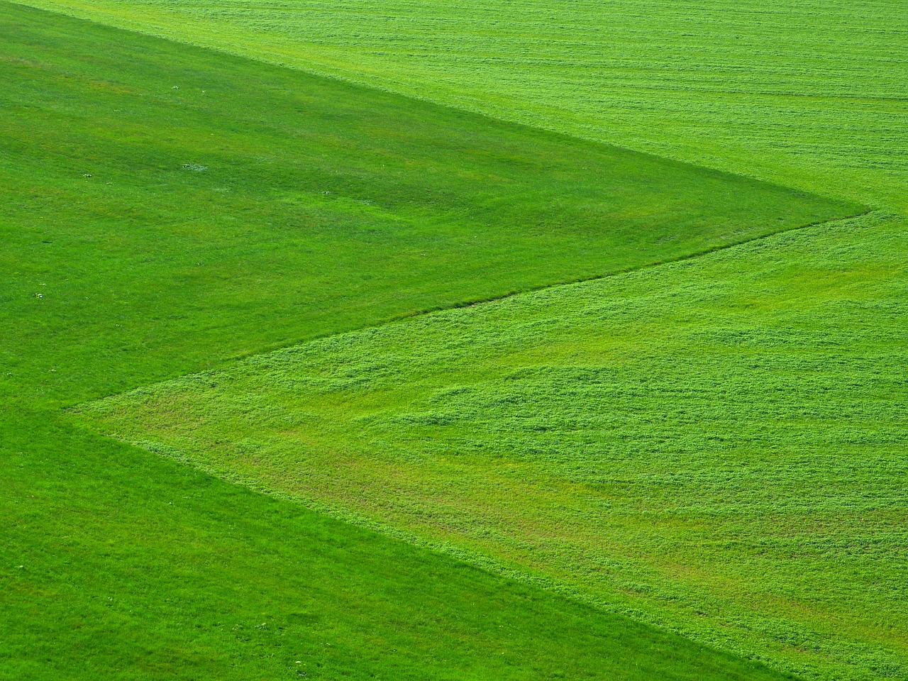 meadow field landscape grassland 196567