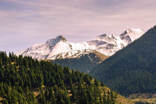 mountain snow greece trees nature 7978781