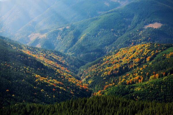 mountain sunrays hill nature 1345746