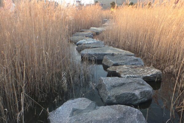 reed stepping stone stone bridge 1666746