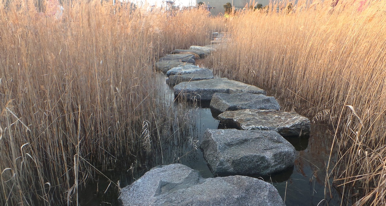 reed stepping stone stone bridge 1666746