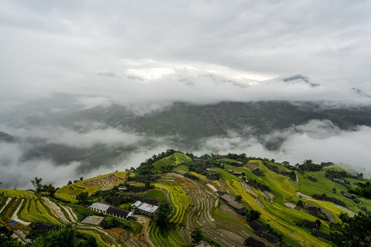 residential paddy field step cloud 8278516