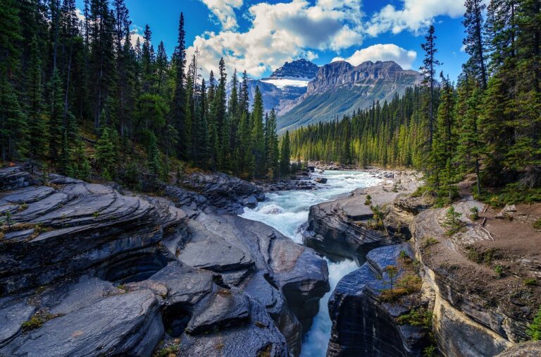 river rocks trees conifer stones 5765785