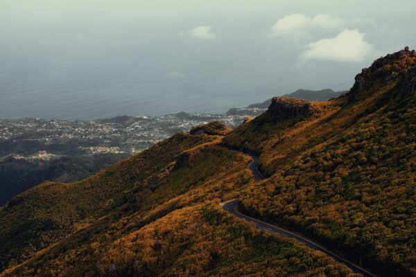 road mountains forest madeira 8542123