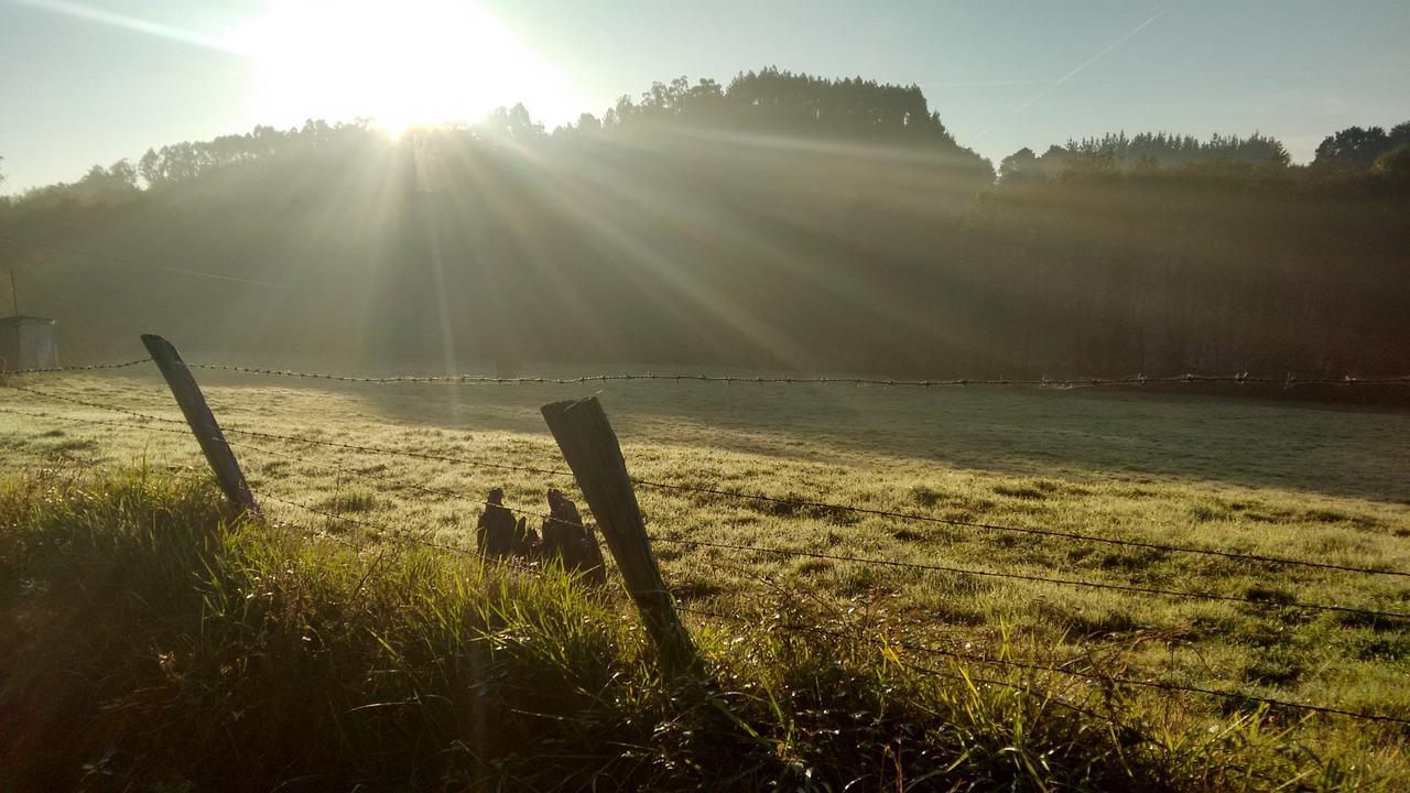 sun rays about lawn eventide 2400890