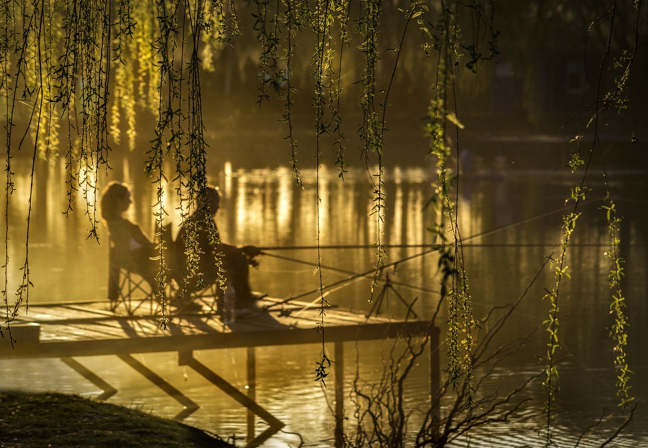 sunset lake anglers nature trees 3722398