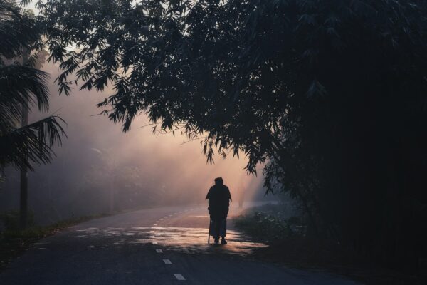 walking morning rural nature 6580711